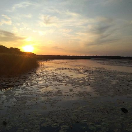 Domek Na Terenie Poleskiego Parku Narodowego Urszulin  ภายนอก รูปภาพ