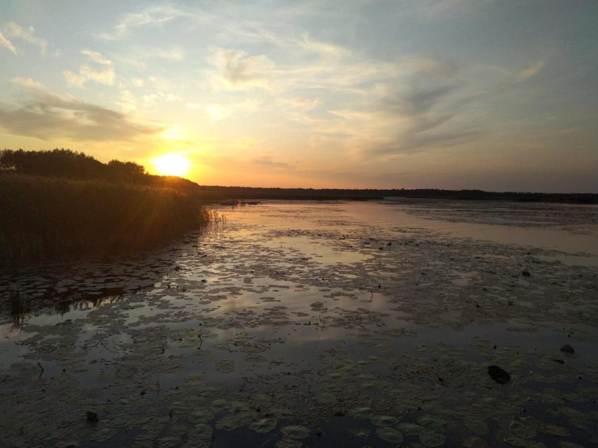 Domek Na Terenie Poleskiego Parku Narodowego Urszulin  ภายนอก รูปภาพ